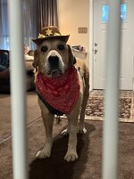 Sheriff Barney - Halloween 2023 .JPEG