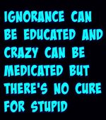No cure for stupid.jpg