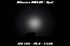 Nitecore_NWL20_31.jpg