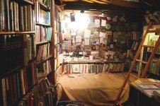 bed-in-shakespeare-bookstore-in-paris.jpg