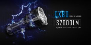 DX80.jpg