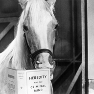 Mister Ed